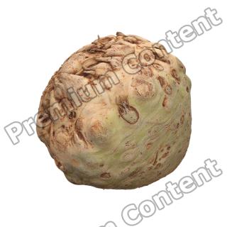 Celery Root 3D Scan Retopo